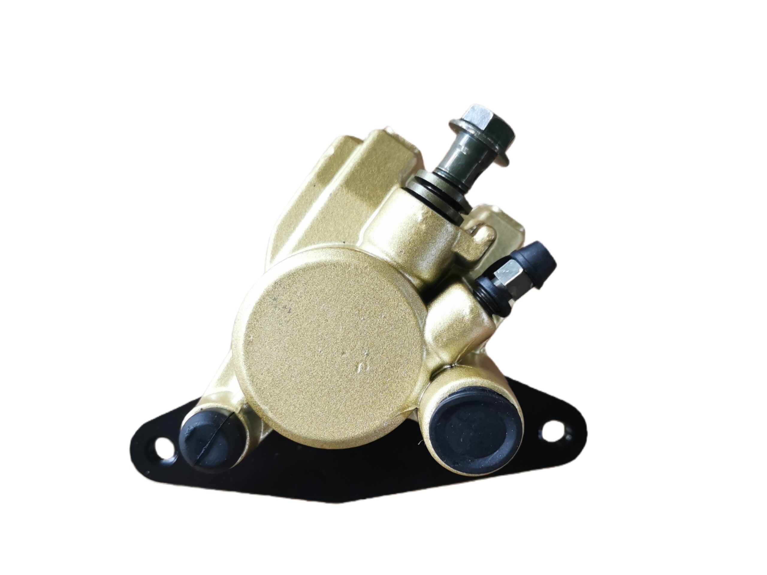 Brake Caliper  RAPTOR 250 Rear